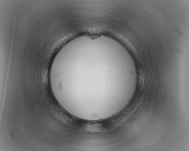 X0000113320403200910051129