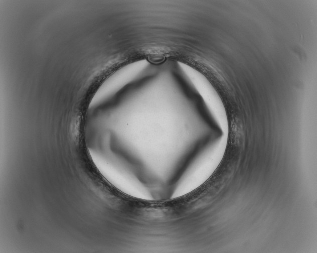 X0000113320404200910051129