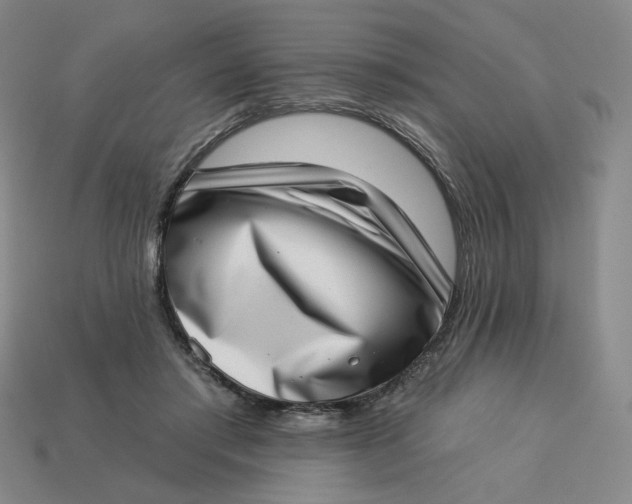 X0000113320405200910051129