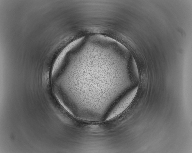 X0000113320406200910051129