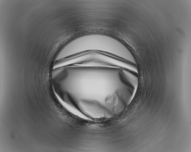 X0000113320407200910051129