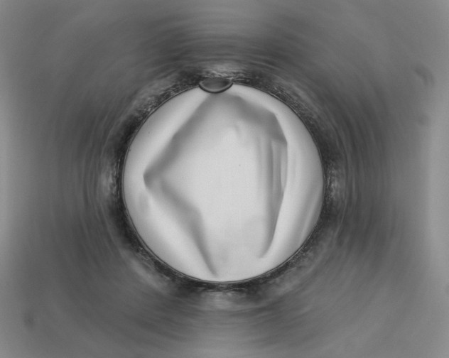 X0000113320408200910051129