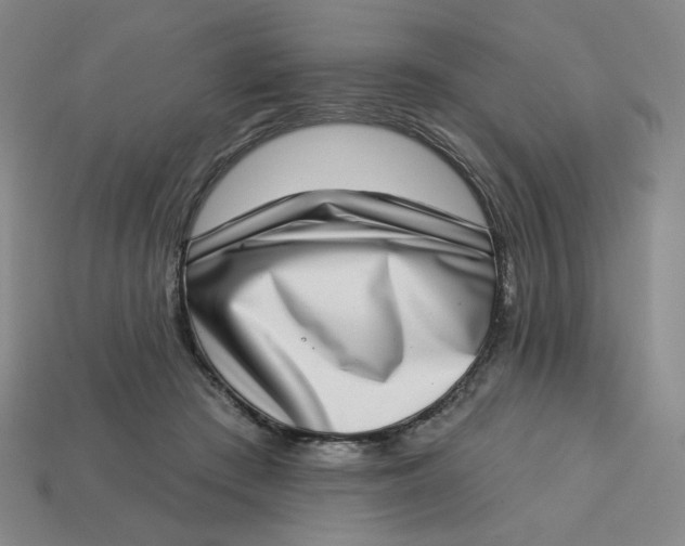 X0000113320409200910051129