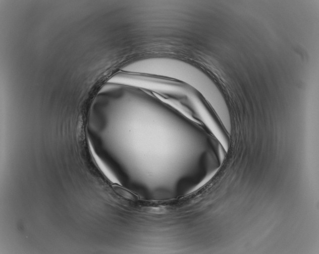 X0000113320411200910051129