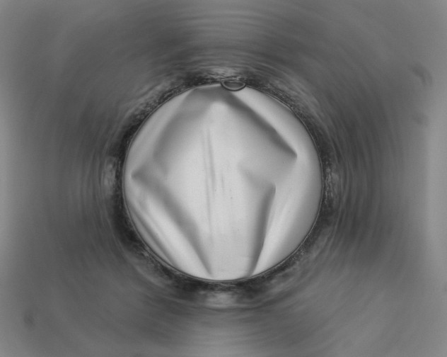 X0000113320412200910051129