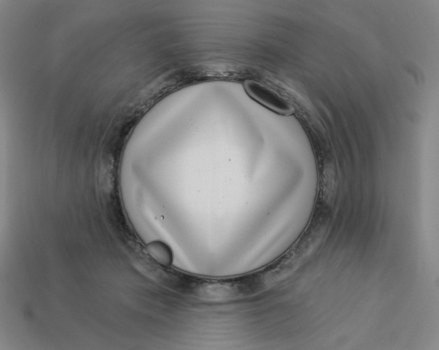 X0000113320413200910051129