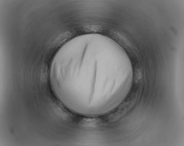 X0000113320414200910051129