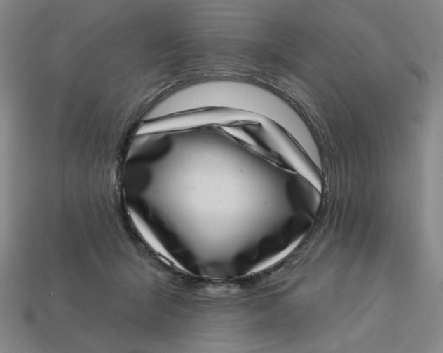 X0000113320415200910051129