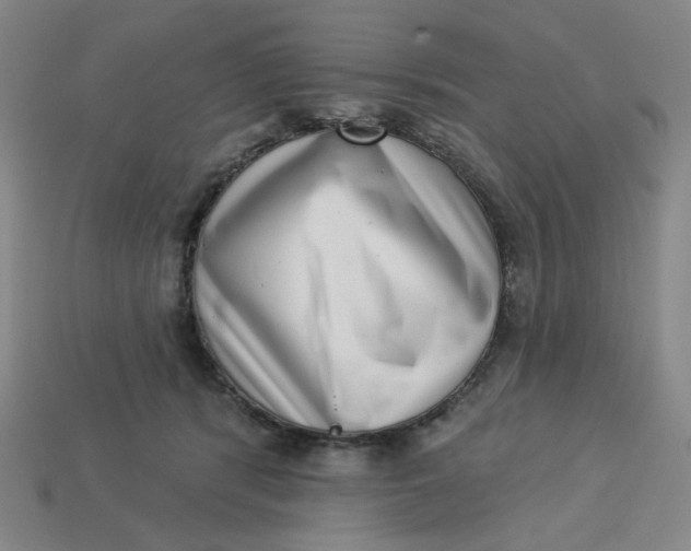 X0000113320416200910051129