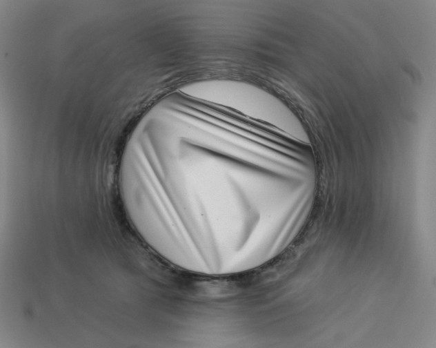 X0000113320417200910051129