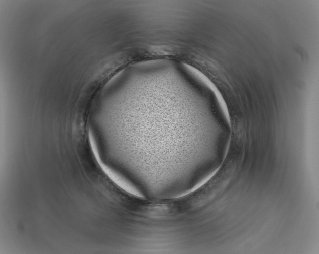 X0000113320418200910051129