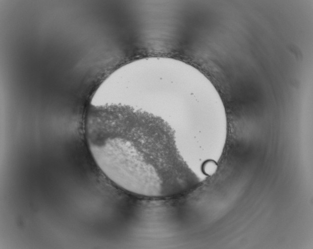 X0000113320419200910051129