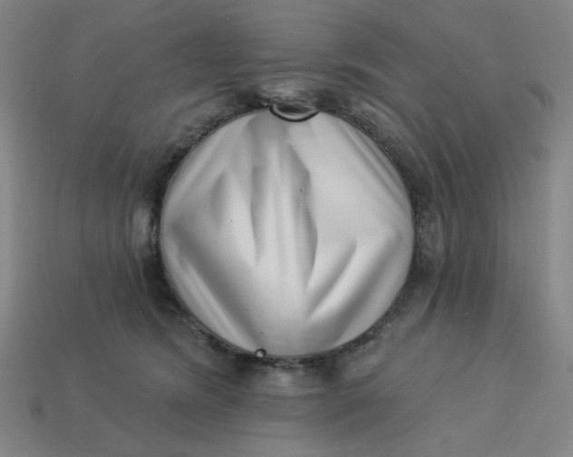 X0000113320420200910051129