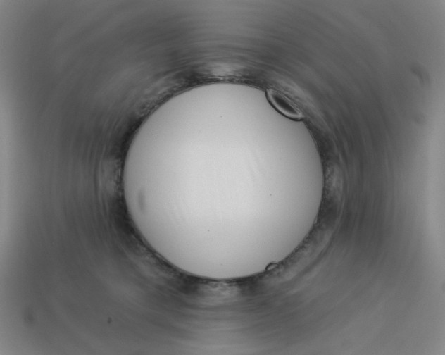 X0000113320421200910051129