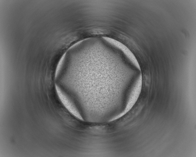 X0000113320422200910051129