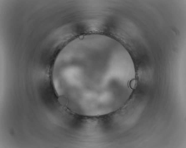 X0000113320423200910051129