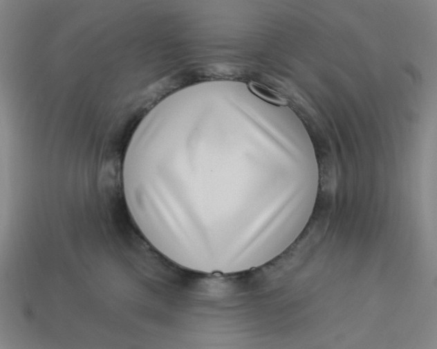 X0000113320425200910051129