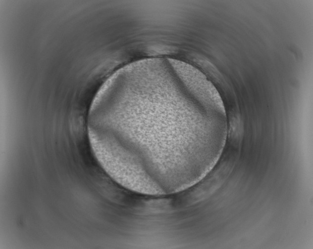 X0000113320426200910051129