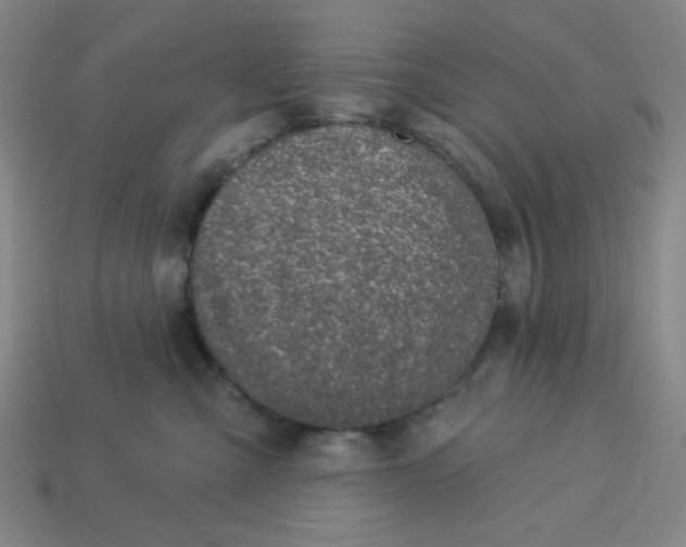 X0000113320427200910051129