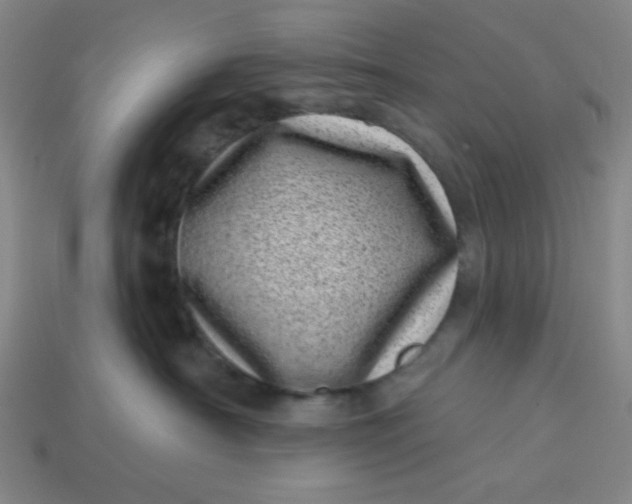 X0000113320430200910051129