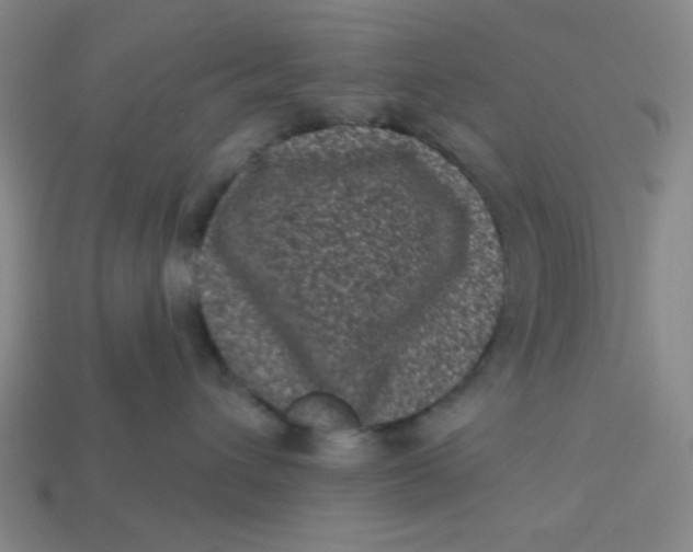 X0000113320432200910051129