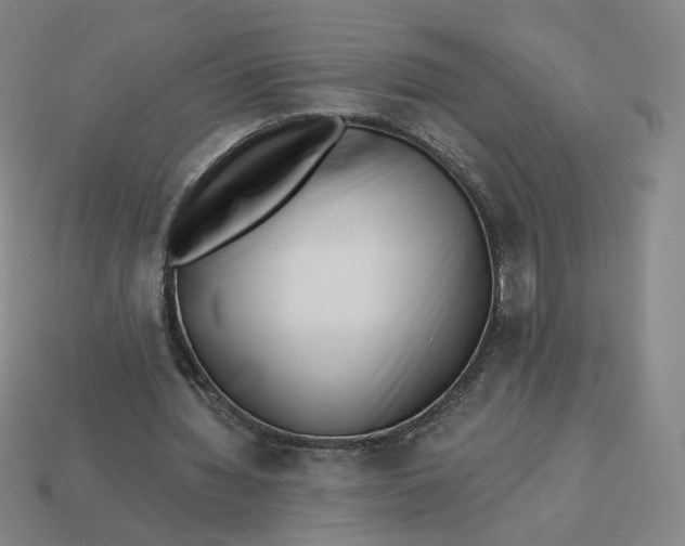 X0000113320436200910051128