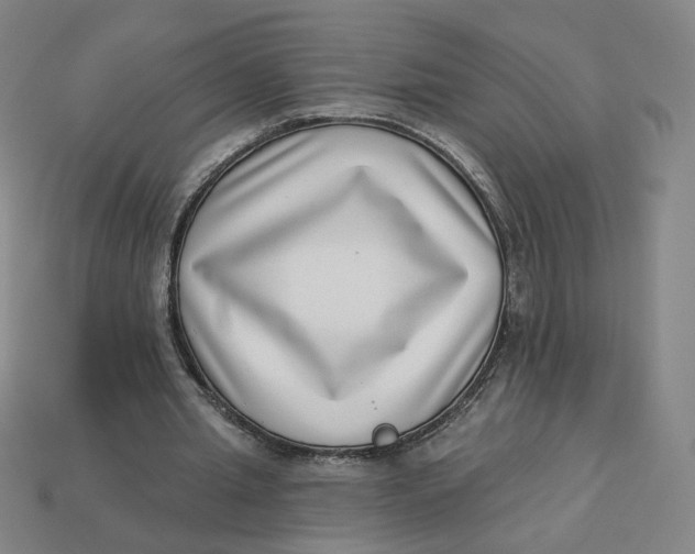 X0000113320437200910051128