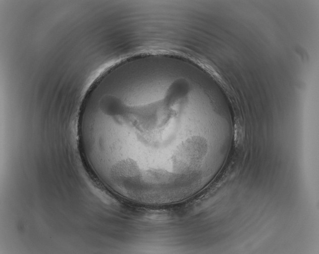 X0000113320438200910051128