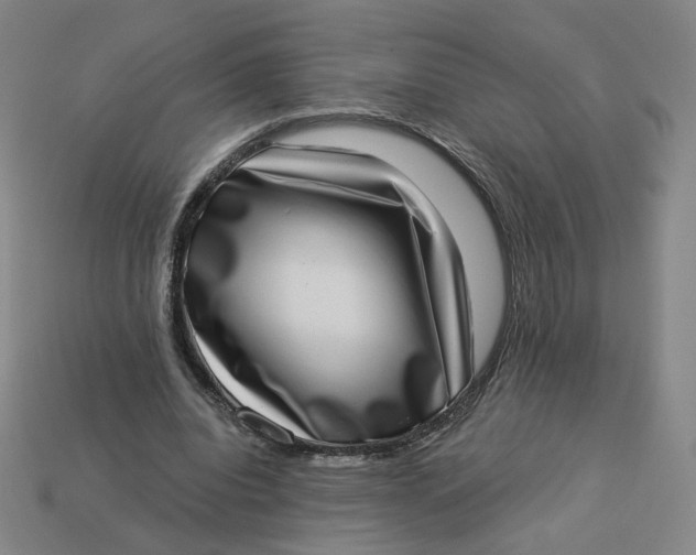 X0000113320440200910051128