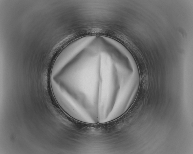 X0000113320442200910051128