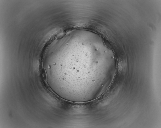 X0000113320444200910051128