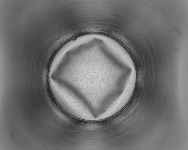 X0000113320445200910051128