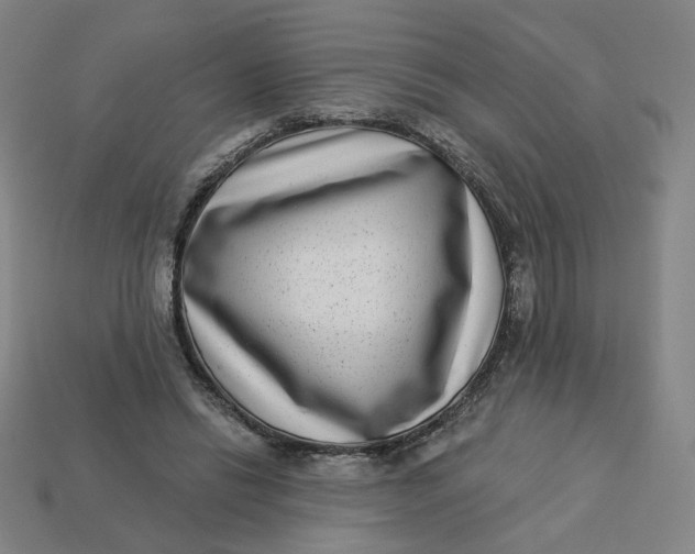 X0000113320446200910051128