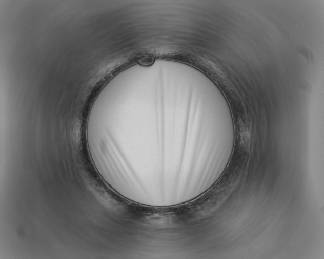 X0000113320447200910051128