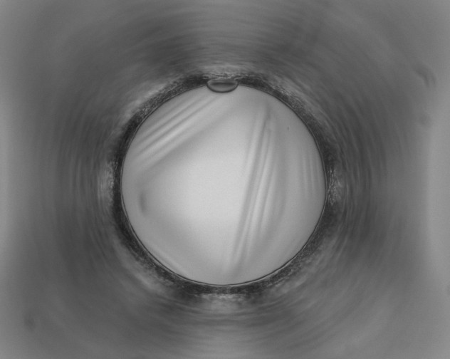 X0000113320448200910051128