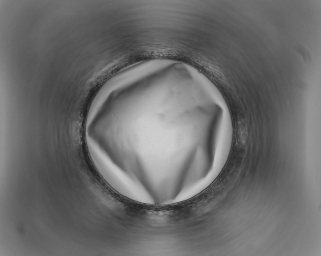 X0000113320450200910051128