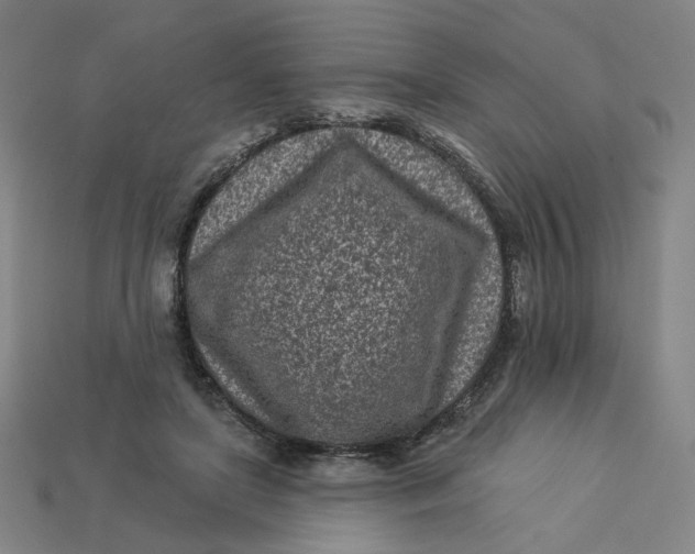 X0000113320451200910051128