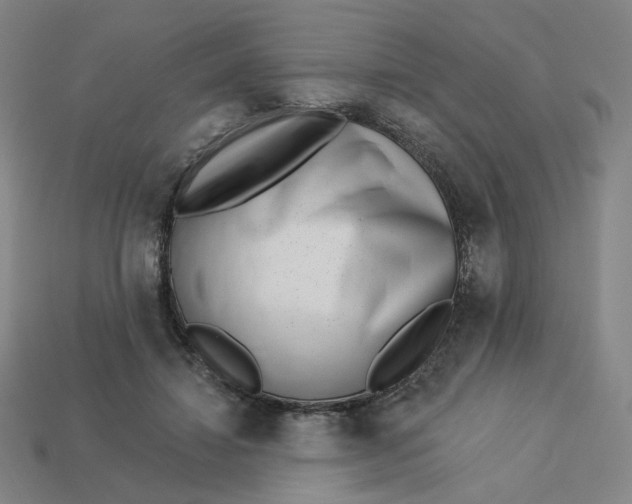 X0000113320452200910051128