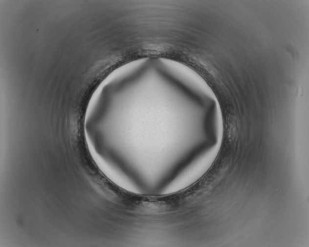 X0000113320455200910051128