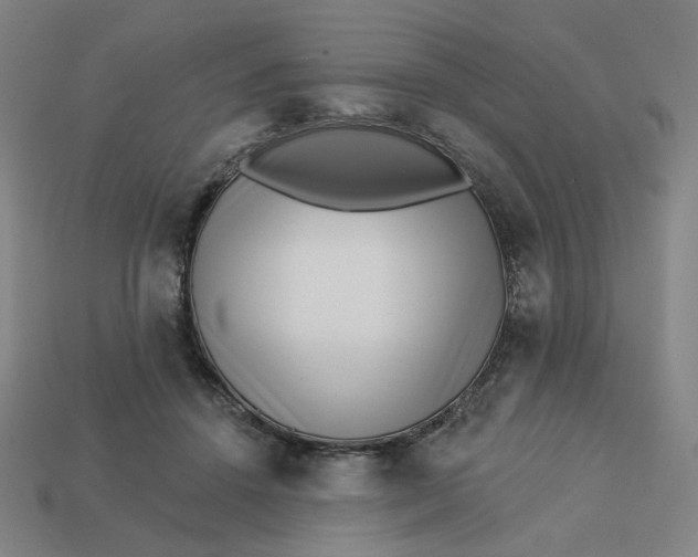 X0000113320456200910051128