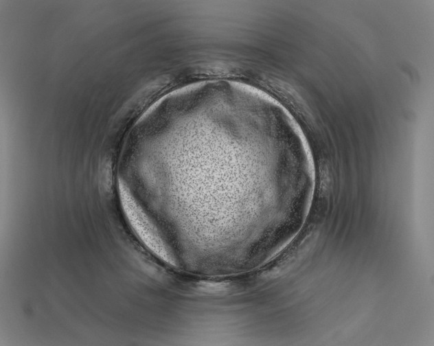 X0000113320457200910051128