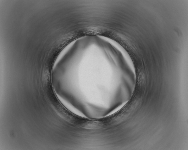 X0000113320459200910051129