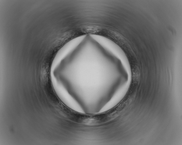 X0000113320460200910051129