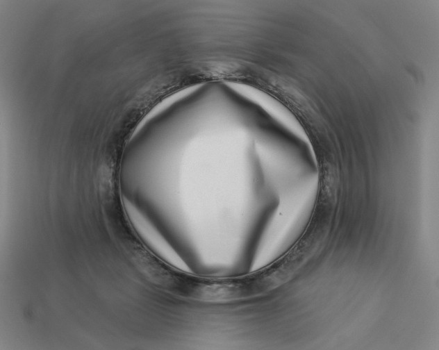 X0000113320461200910051129