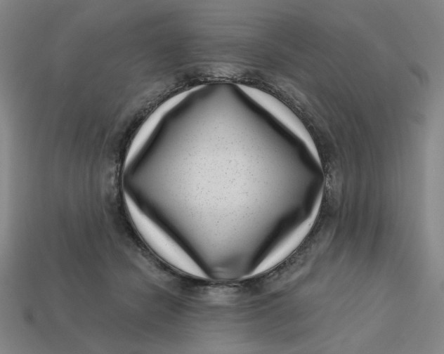 X0000113320462200910051129