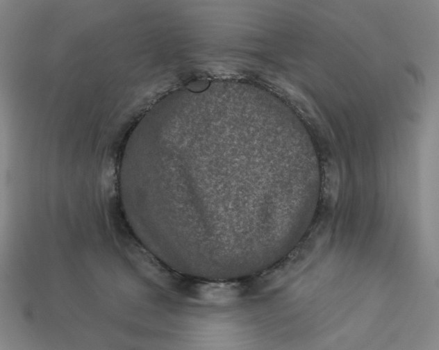 X0000113320465200910051129