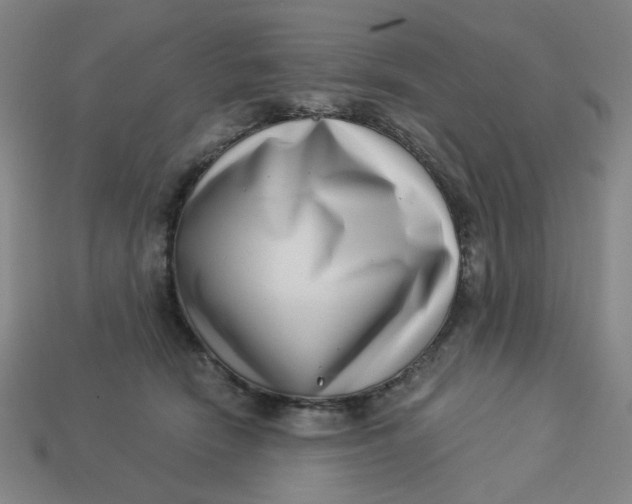 X0000113320466200910051129