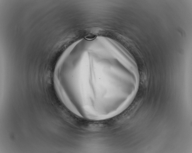 X0000113320470200910051129