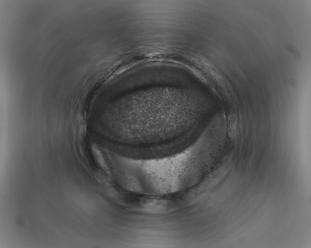 X0000113320471200910051129