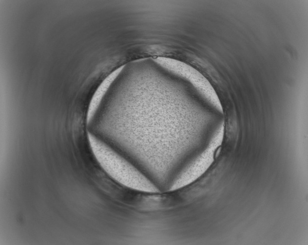 X0000113320473200910051129